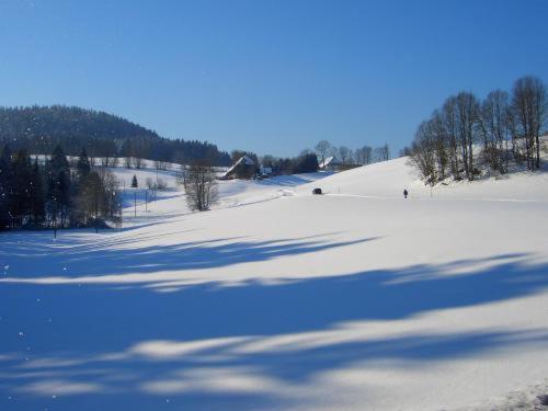 Hotel-Pension Thomé Hinterzarten Extérieur photo