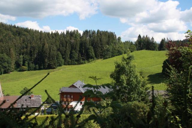 Hotel-Pension Thomé Hinterzarten Extérieur photo